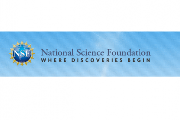 NSF logo